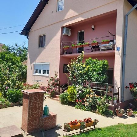 Sobe Lavanda Kladovo Exteriör bild