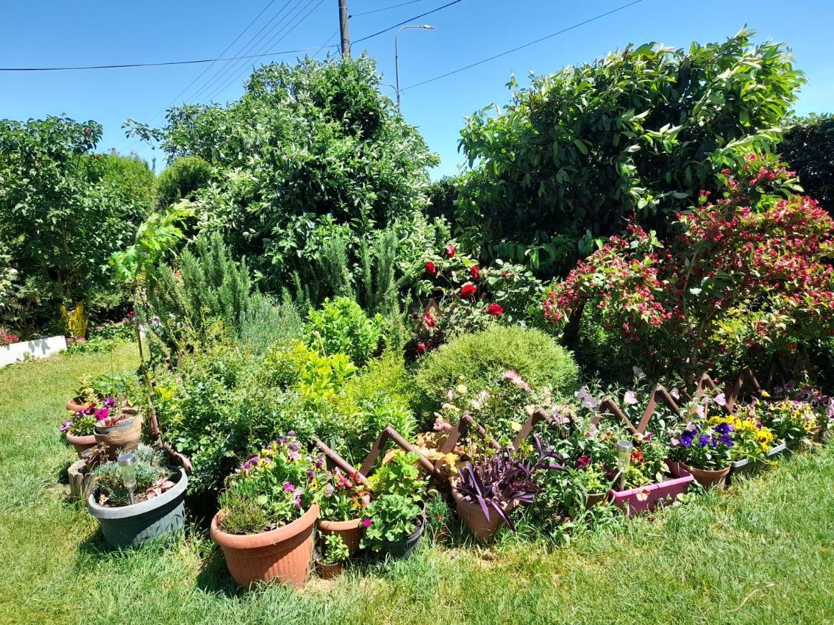 Sobe Lavanda Kladovo Exteriör bild