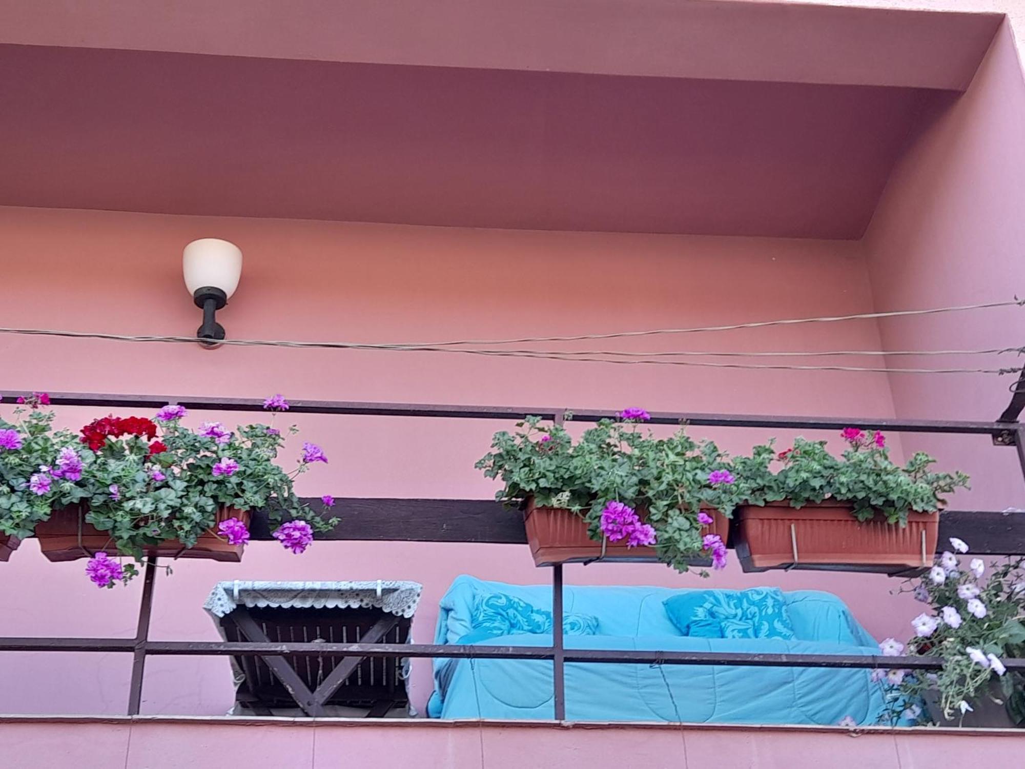 Sobe Lavanda Kladovo Exteriör bild