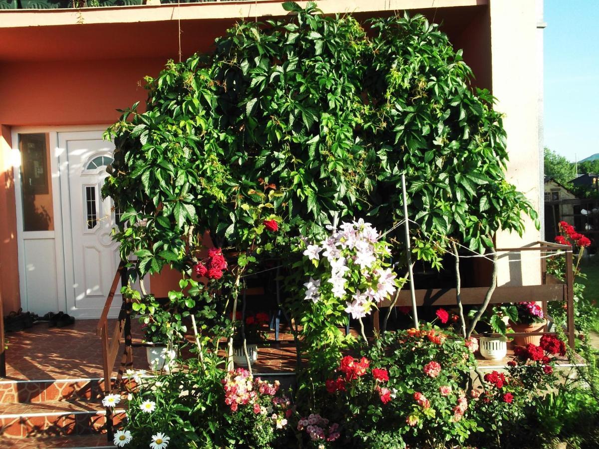 Sobe Lavanda Kladovo Exteriör bild