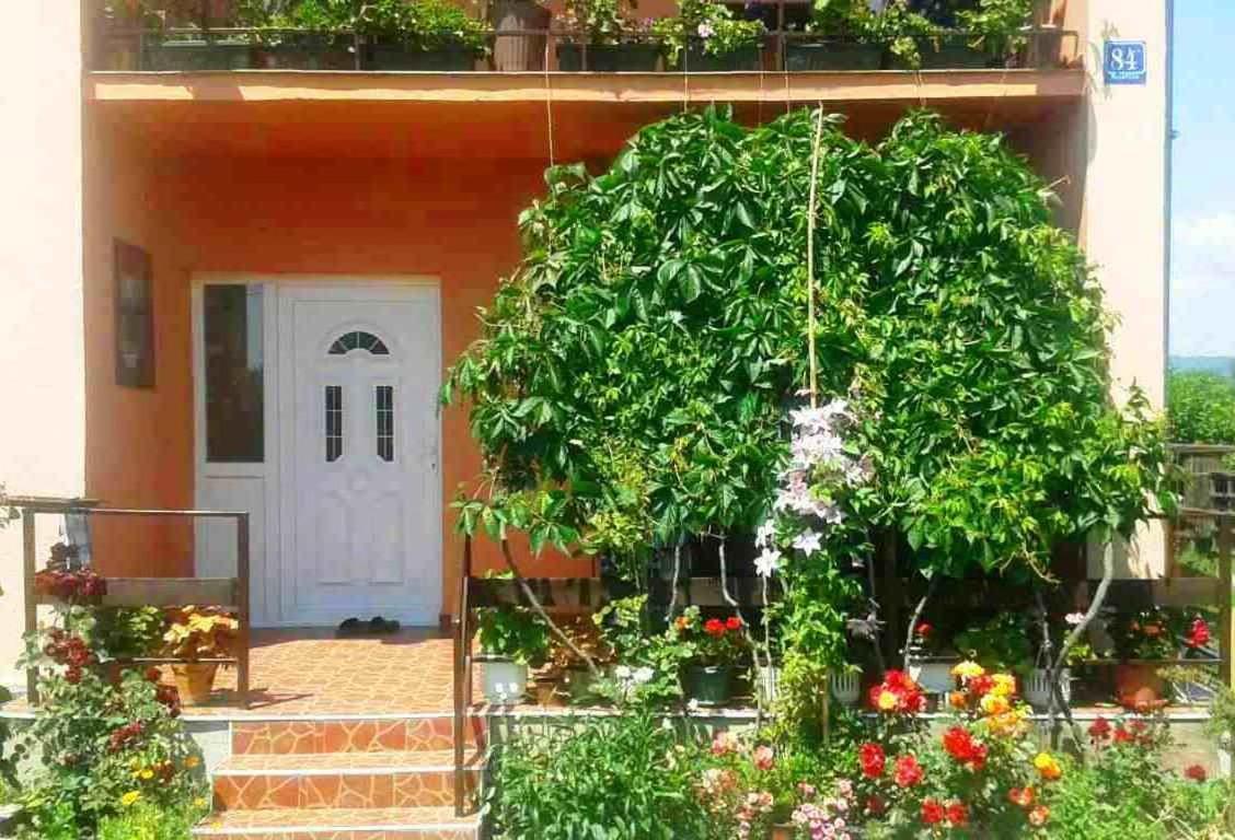 Sobe Lavanda Kladovo Exteriör bild