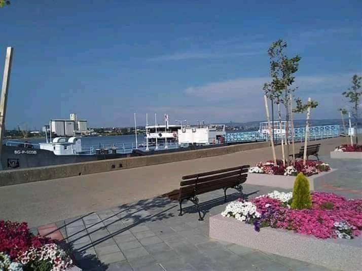 Sobe Lavanda Kladovo Exteriör bild